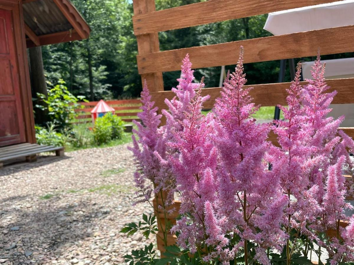 Domek Caloroczny Zagroda Mlynski Sułkowice Exteriör bild